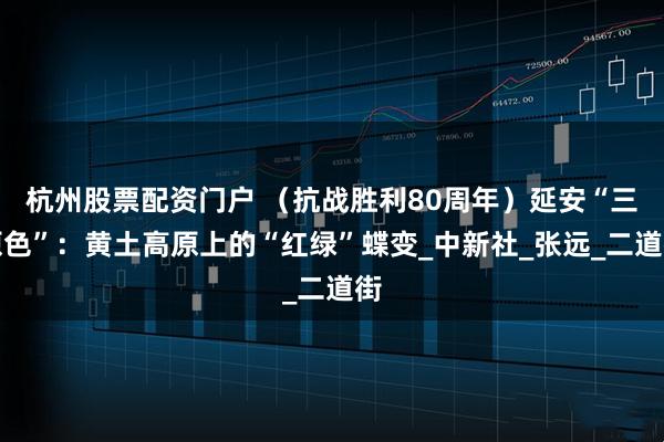 杭州股票配资门户 （抗战胜利80周年）延安“三原色”：黄土高原上的“红绿”蝶变_中新社_张远_二道街