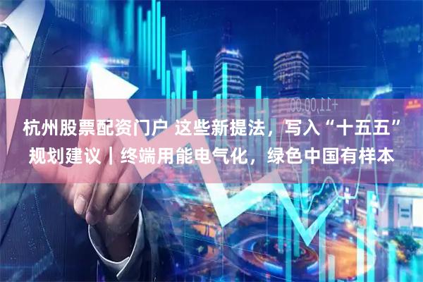 杭州股票配资门户 这些新提法，写入“十五五”规划建议｜终端用能电气化，绿色中国有样本